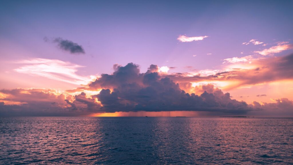 Simple pricing, live availability, and a summer Dolphin Guarantee.